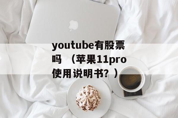 youtube有股票吗 （苹果11pro使用说明书？）