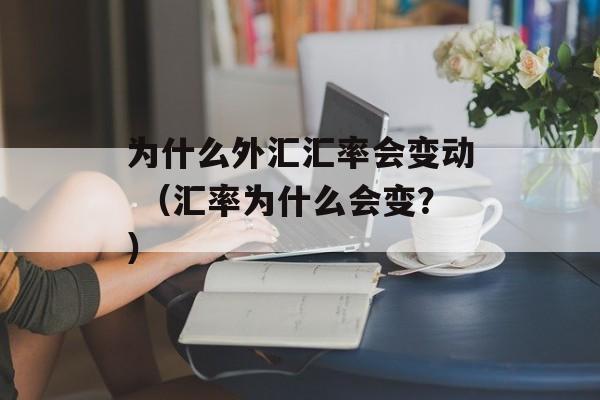 为什么外汇汇率会变动 （汇率为什么会变？）