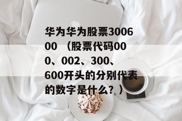 华为华为股票300600 （股票代码000、002、300、600开头的分别代表的数字是什么？）