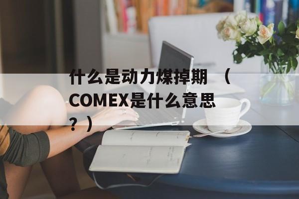 什么是动力煤掉期 （COMEX是什么意思？）