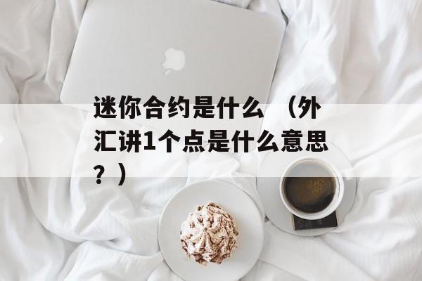 迷你合约是什么 （外汇讲1个点是什么意思？）