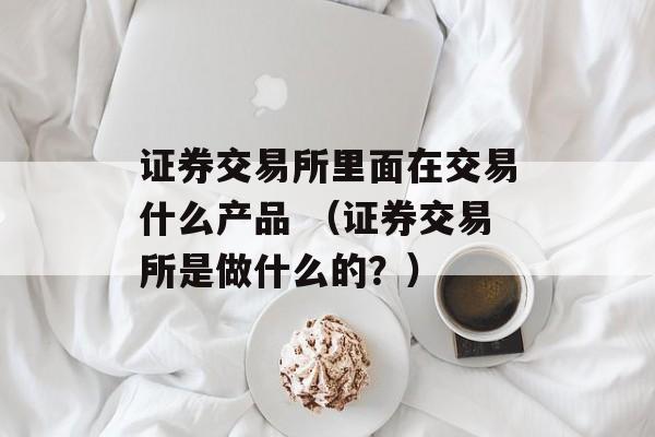 证券交易所里面在交易什么产品 （证券交易所是做什么的？）