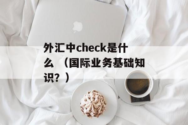 外汇中check是什么 （国际业务基础知识？）