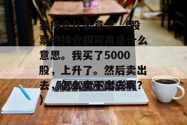 卖持仓什么意思 （股票的持仓跟可用是什么意思。我买了5000股，上升了。然后卖出去，怎么卖不出去呢？）