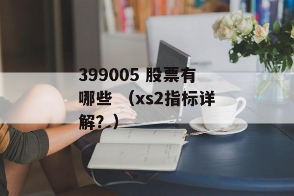 399005 股票有哪些 （xs2指标详解？）