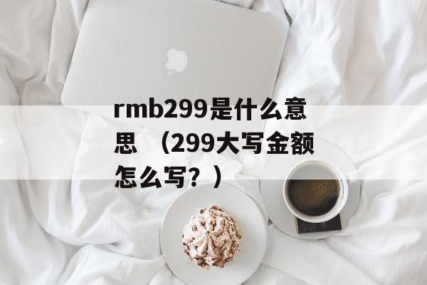 rmb299是什么意思 （299大写金额怎么写？）