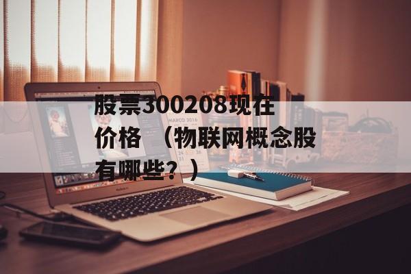 股票300208现在价格 （物联网概念股有哪些？）