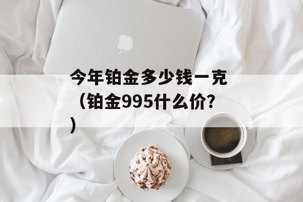 今年铂金多少钱一克 （铂金995什么价？）